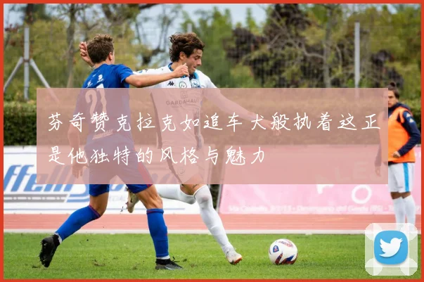 芬奇赞克拉克如追车犬般执着这正是他独特的风格与魅力