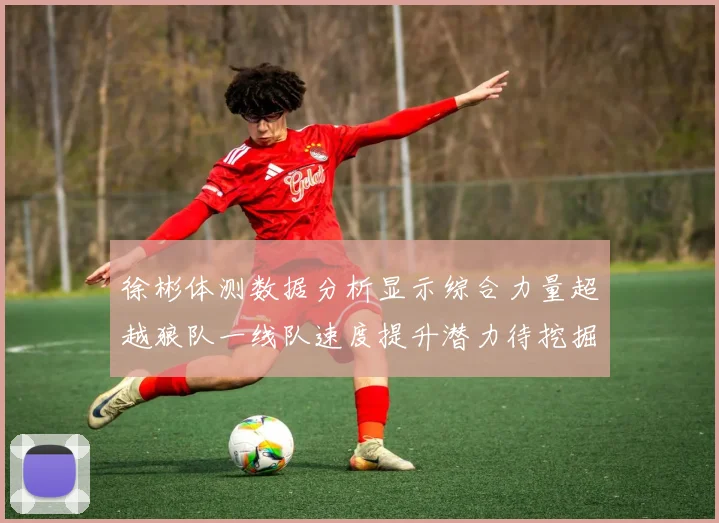 徐彬体测数据分析显示综合力量超越狼队一线队速度提升潜力待挖掘