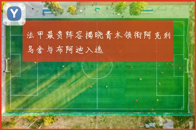 法甲最贵阵容揭晓青木领衔阿克利乌舍与布阿迪入选