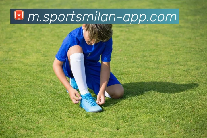 米兰体育APP 封面图